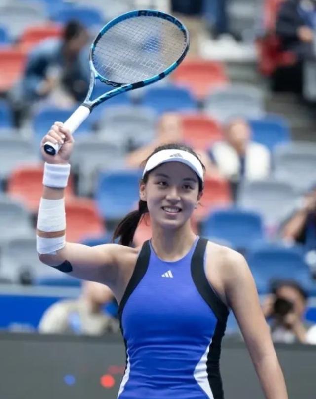 意甲和德甲 意甲和德甲