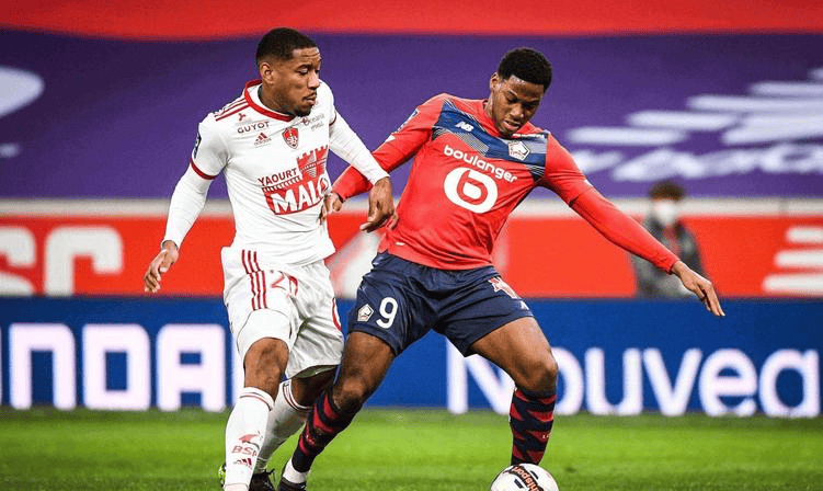 还促进了基 还促进了基